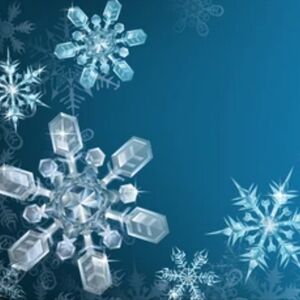 Shop with confidence!